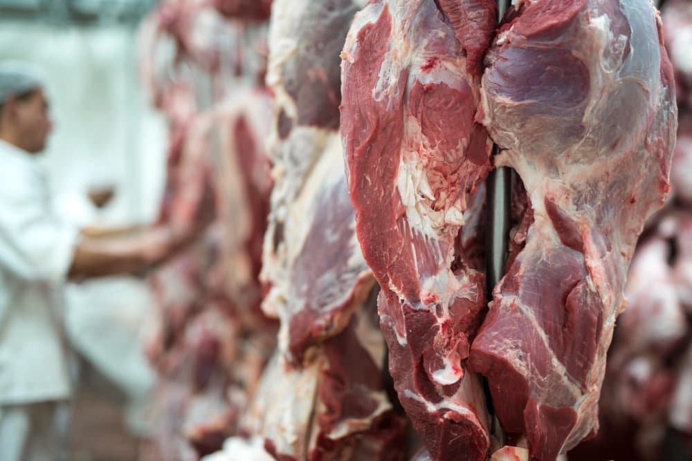 Abattoir